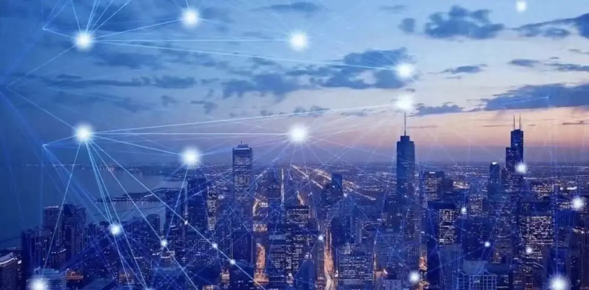 虫草花和花旗参哪个好