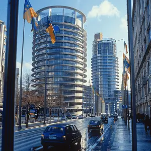 西施美食做法简单视频